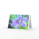 Mothers day card card