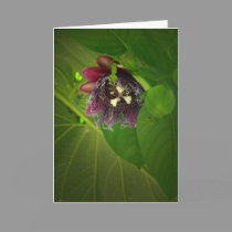 Mother's Day cards