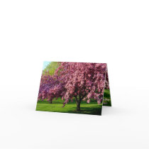 Mother's Day  Card