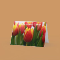 Mother's Day Card cards