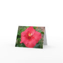 Mother's Day Card