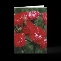 Mother's Day! Card