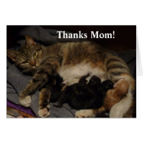 Mothers Day Card cards