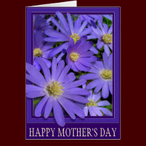 Mother's Day Card Blue Flower Daisy Card cards