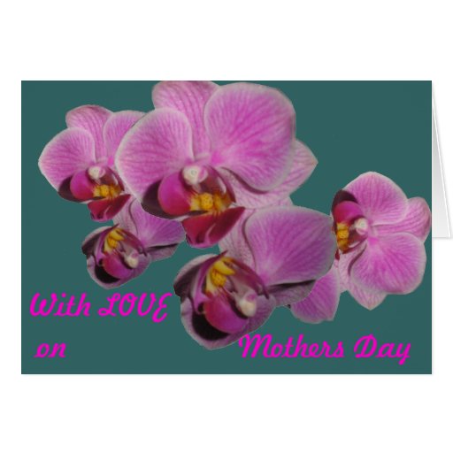Mothers Day card orchids Zazzle