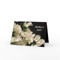 Mother's DAY Card - White Bougainvillea Flowers by kit2008 Mother's DAY Card - White Bougainvillea Flowers