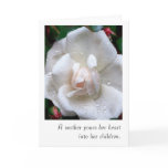 Mother's Day Card with White Rose