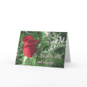 Mother's Day CARDS
