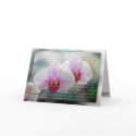 Mother's Day Christian Orchids Card