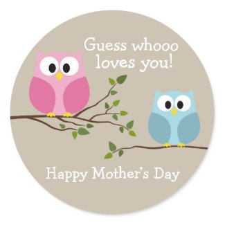 Mothers Day - Cute Owls - Whooo loves you Stickers