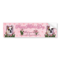 Mothers Day - English Bulldog - Cambridge Bumper Sticker