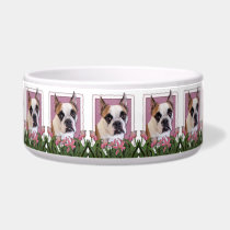 Mothers Day - English Bulldog - Cambridge Pet Bowls