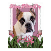 Mothers Day - English Bulldog - Cambridge Post Cards
