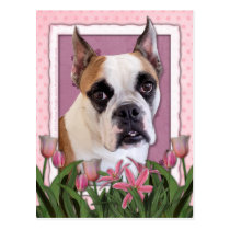 Mothers Day - English Bulldog - Cambridge Postcard
