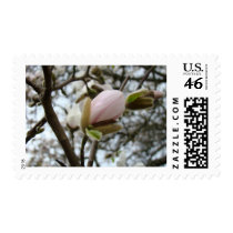 Mothers Day Gifts 19 KEDS SHOES Magnolia Flowers postage
