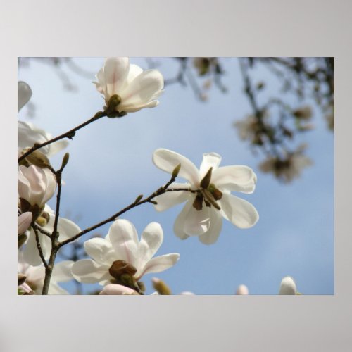 MOTHER'S DAY GIFTS ART Magnolia Tree Flowers print