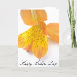 Mothers Day greeting card