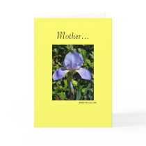 Mother's Day Greeting cards by ohgreeting Mother's Day Greeting cards