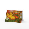 Mother's Day Happy Poppy Card
