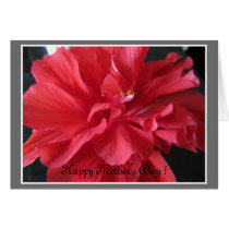 Mother's Day Hibiscus cards