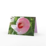 Mother's Day Hisbiscus cards