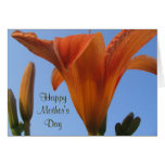 Mother's Day Lilies Cards