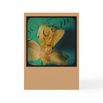 Mother's Day Lily Greeting Card