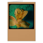 Mother's Day Lily Greeting Card