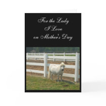 Mother's Day Love Miniature horse greeting card