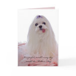 Mother's Day Maltese Dog Cards