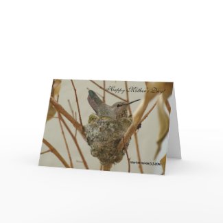 Mother's Day - Mother Hummingbird - Card card