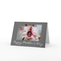 Mother's Day Orchid Greeting Cards