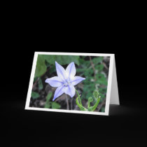 Mother's Day Perfection cards