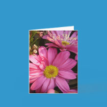 Mother's Day Pink Daisies cards