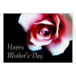 Mother's Day Pink Rose Greeting Card