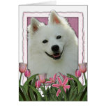 Mothers Day - Pink Tulips - American Eskimo Greeting Cards