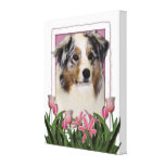 Mothers Day - Pink Tulips - Australia Shepherd Gallery Wrap Canvas