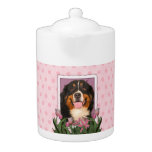 Mothers Day - Pink Tulips - Bernese Mountain Dog