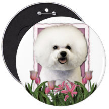 Mothers Day - Pink Tulips - Bichon Frise