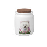 Mothers Day - Pink Tulips - Bichon Frise Candy Jars