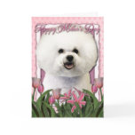 Mothers Day - Pink Tulips - Bichon Frise Greeting Cards