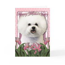 Mothers Day - Pink Tulips - Bichon Frise Greeting Cards