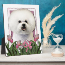 Mothers Day - Pink Tulips - Bichon Frise Photo Plaque