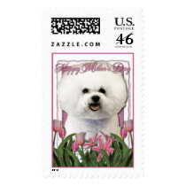 Mothers Day - Pink Tulips - Bichon Frise Postage Stamp
