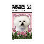 Mothers Day - Pink Tulips - Bichon Frise Postage Stamp