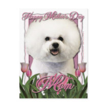 Mothers Day - Pink Tulips - Bichon Frise Postcard