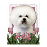 Mothers Day - Pink Tulips - Bichon Frise Postcard