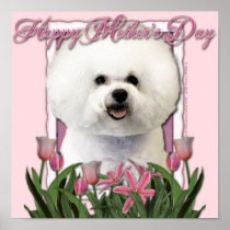 Mothers Day - Pink Tulips - Bichon Frise Print