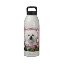 Mothers Day - Pink Tulips - Bichon Frise Water Bottle