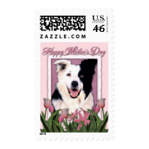 Mothers Day - Pink Tulips - Border Collie Stamp
